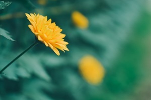 精做真題，查缺補漏