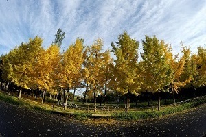 大專第三年才開始準(zhǔn)備普通專升本考試來得及嗎？該如何備考？