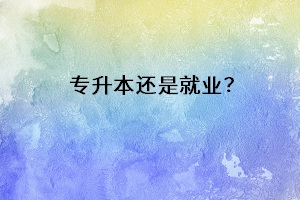 專升本還是就業(yè)？