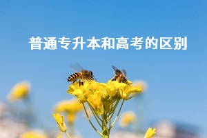 普通專升本和高考之間有什么差別？哪個更難考？