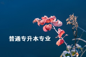 荊楚理工學(xué)院專升本的專業(yè)有哪些？專業(yè)考試難不難？
