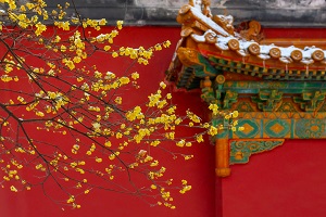 全日制普通專升本和本科有區(qū)別嗎？哪些地方是不同的？