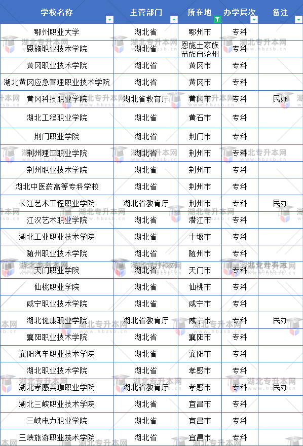 武漢市外的?？茖W校