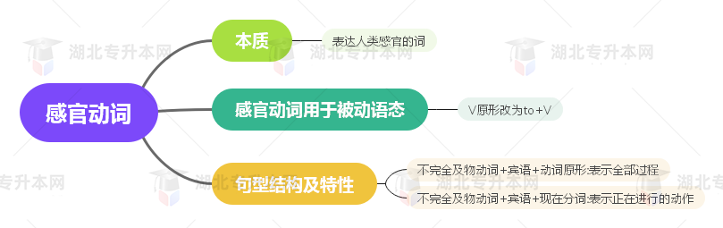 普通專(zhuān)升本英語(yǔ)要掌握多少種語(yǔ)法？25張思維導(dǎo)圖教會(huì)你！